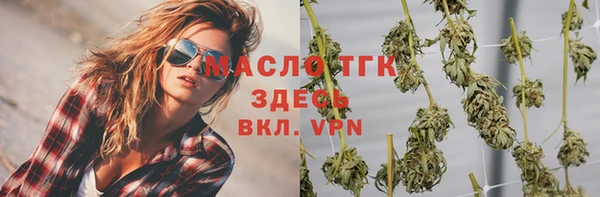 трава Ельня