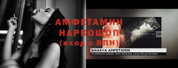трава Ельня