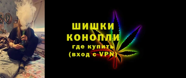 трава Ельня