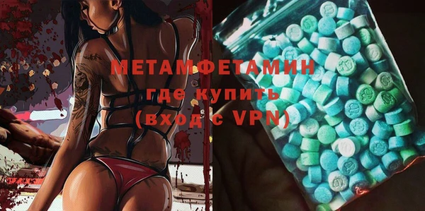 трава Ельня